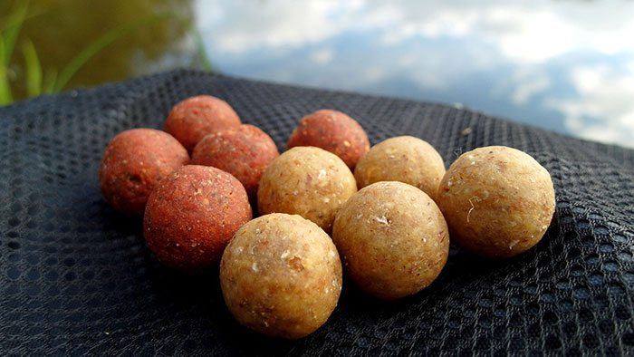 boilies-cell