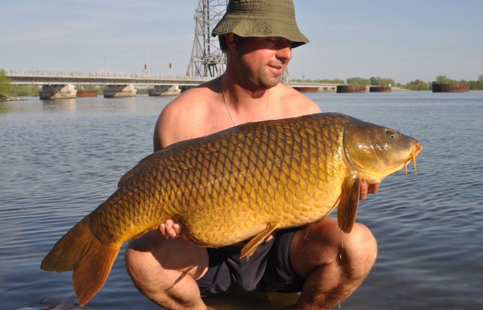 6 x 1 maand karpervissen in Canada – Daniel van Dijk – KWO Stories