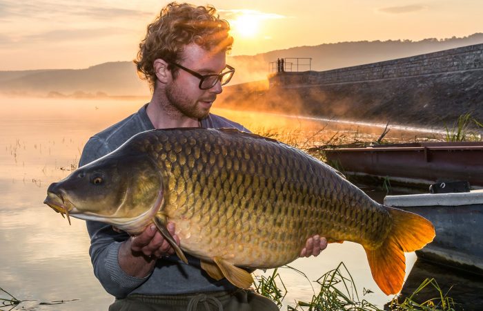 KWO How To – 3 tips om je voerstek ‘aan de praat’ te houden