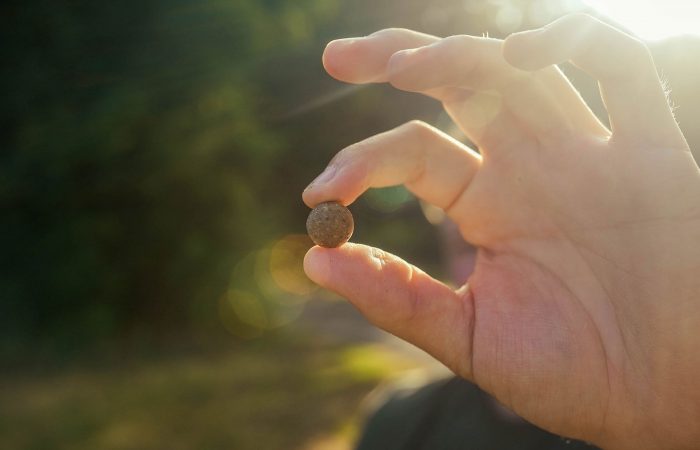 30% korting op KWO Specials – Najaarsactie in de KWO Shop!